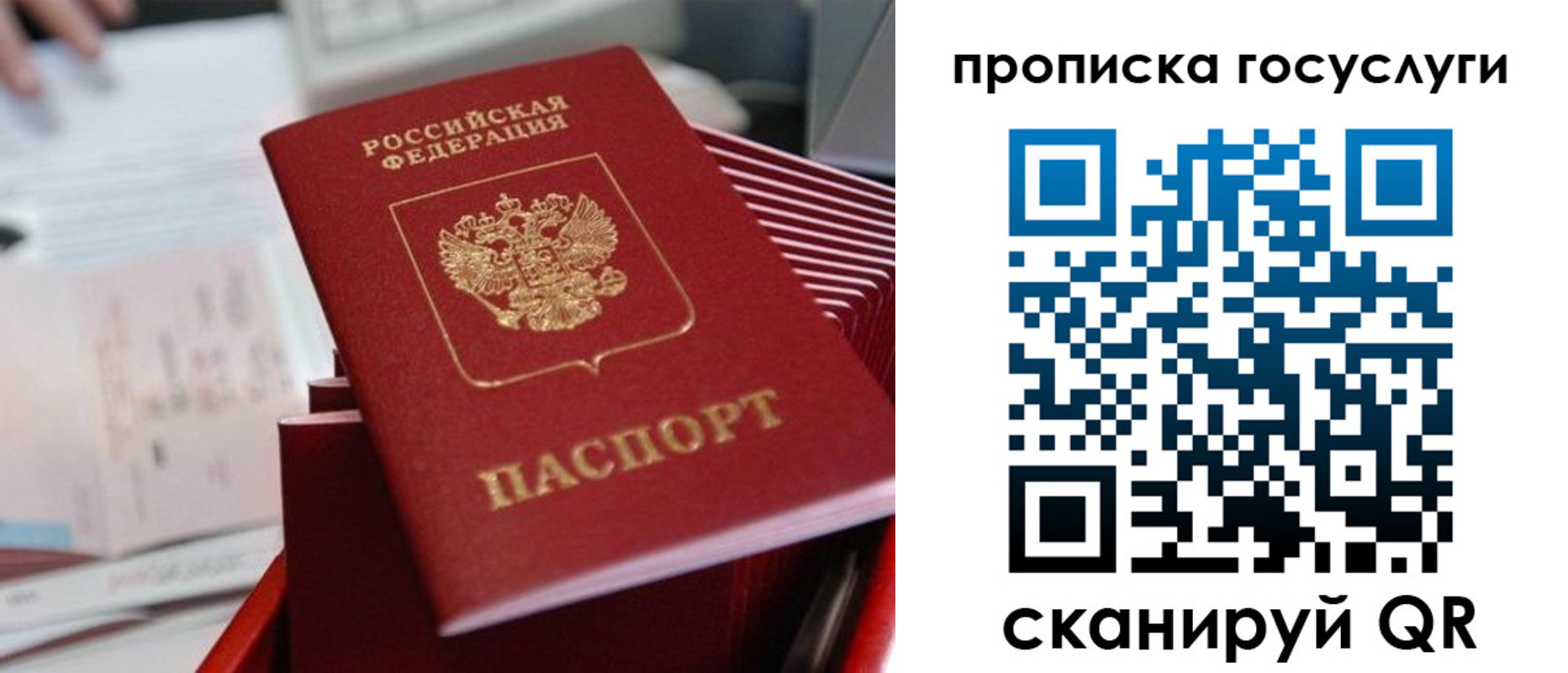 прописка законно в Волгограде